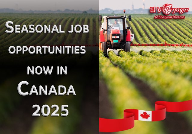 Seasonal job opportunities now in Canada 2025 - Job Description: We are hiring farm workers, and experience in this field is required. We operate year-round and can assist with immigration procedures when needed. We have an LMIA license to support you. Contact me via text at 4313381987.