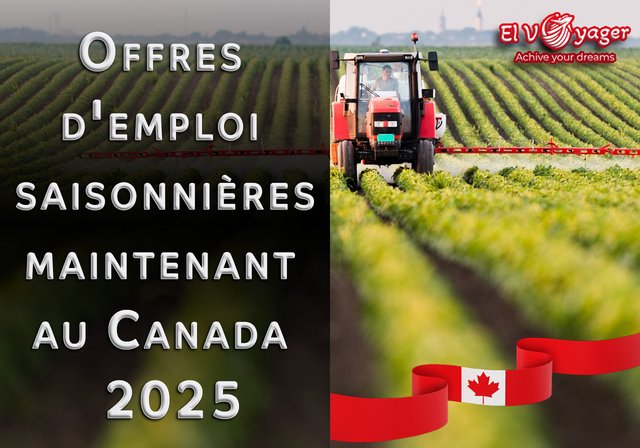 Offres d'emploi saisonnières maintenant au Canada 2025 - Description du poste : Nous embauchons des ouvriers agricoles, une expérience dans ce domaine est requise. Nous sommes ouverts toute l'année et pouvons vous aider dans vos démarches d'immigration si nécessaire. Nous avons une licence Lmia pour vous accompagner, contactez-moi par SMS au 4313381987.
